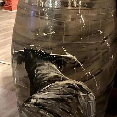 圣路易斯酒店 酒店 艾格-莫尔特