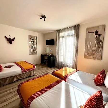 Hotel Saint Louis Aigues-Mortes